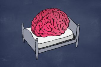 Cartoon of brain resting on a bed.