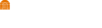 Brain Institute Logo footer